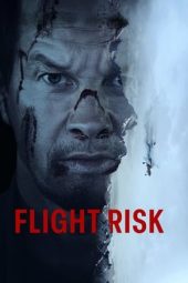 Movie poster: Flight Risk (2025)